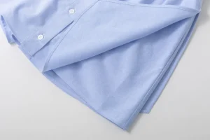 Viktoria Chan Shorts | Fremont oxford skirt