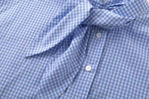 Viktoria Chan Shirts | Tops & Blouses | Kaz cheque shirt Blue
